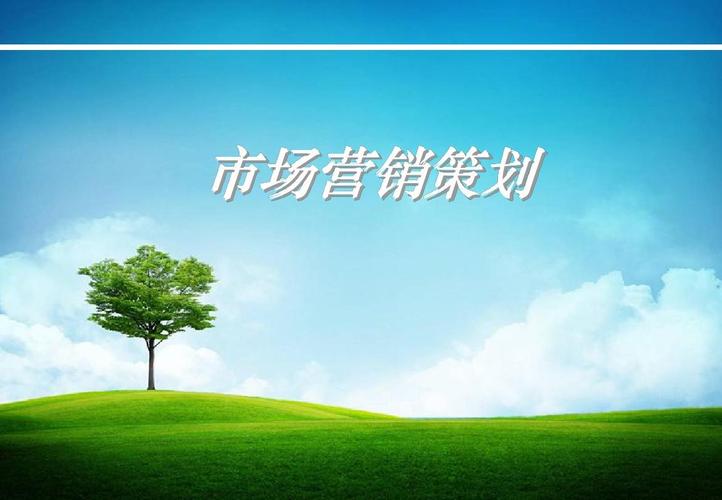 市场营销策划第一章